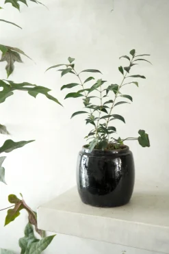 Berit, sort, ø12 cm