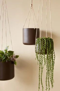 Bloom hængekrukke, brun ø25 cm