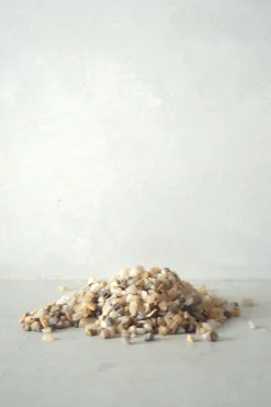 Bundle : Pro omplantning