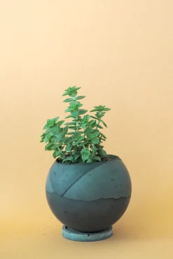 Dirty Roots - Tau Ceti