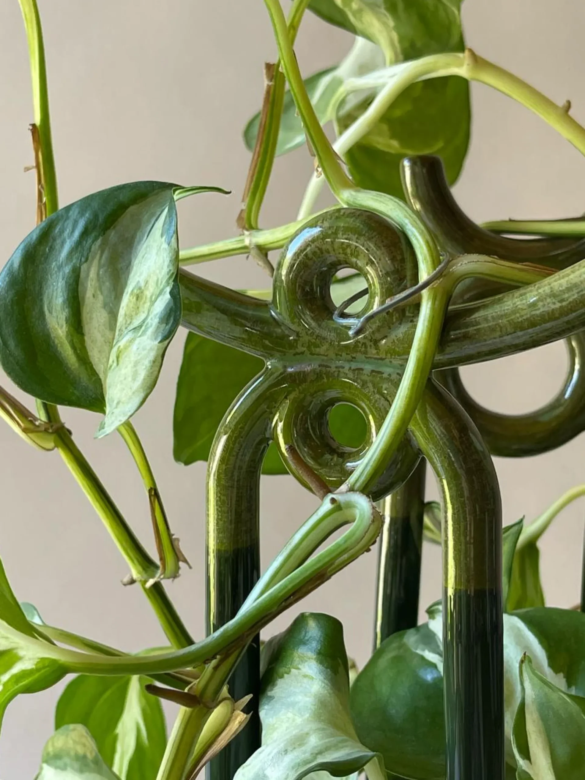 FOLK yuma plantestøtte, grøn