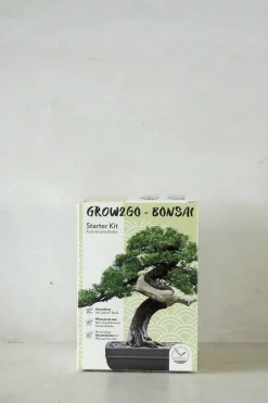 Frø - Bonsai, DIY kit