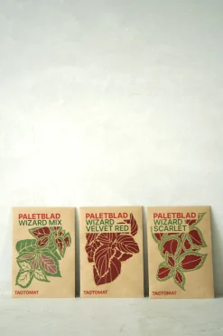 Frø - Paletblad, Wizard mix