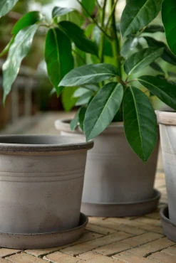 Galestro gulvkrukke, raw grey