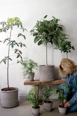 Gartnerens plantepakke - Raw Grey