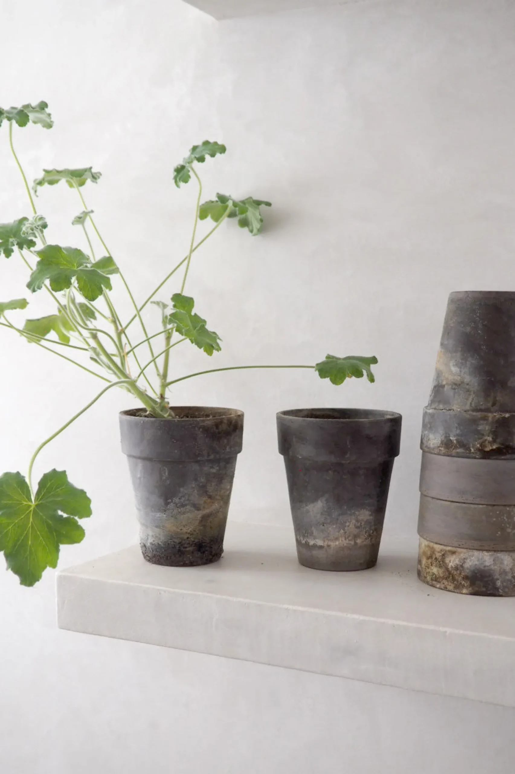 Gartnerkrukke, naturlig patina