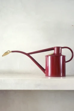 HAWS Vandkande, burgundy, 1 L (special edition)