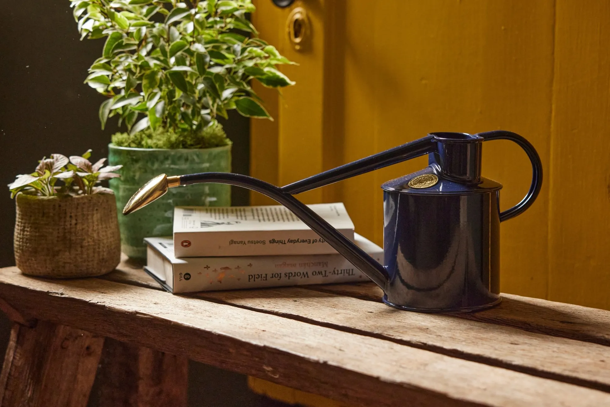 HAWS Vandkande, Navy blue, 1 L