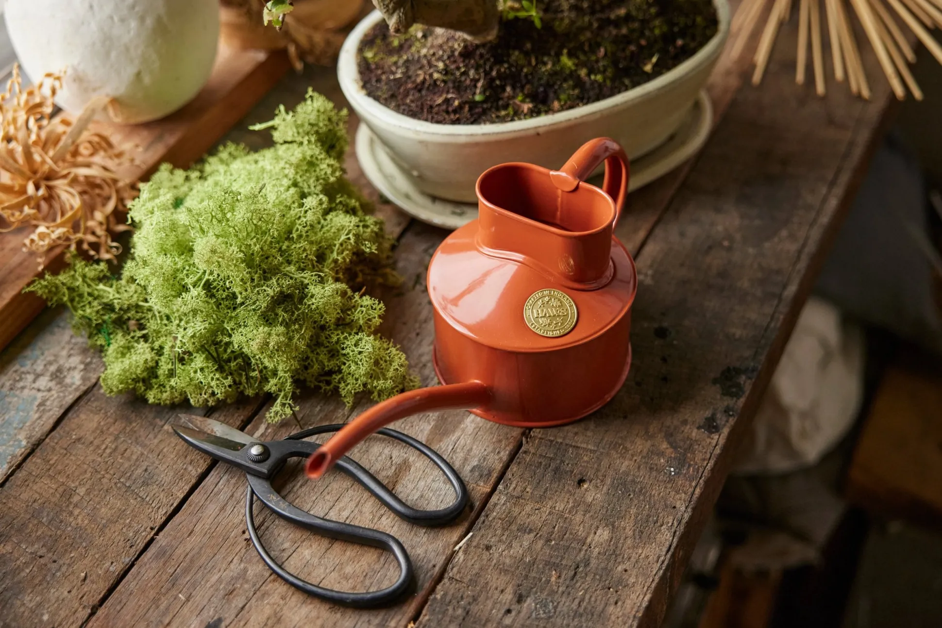 HAWS Vandkande, terracotta orange, 0,5 L