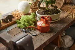 HAWS Vandkande, terracotta orange, 0,5 L