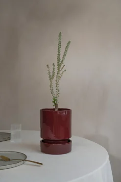 Hoff krukke, glaseret, Burgundy