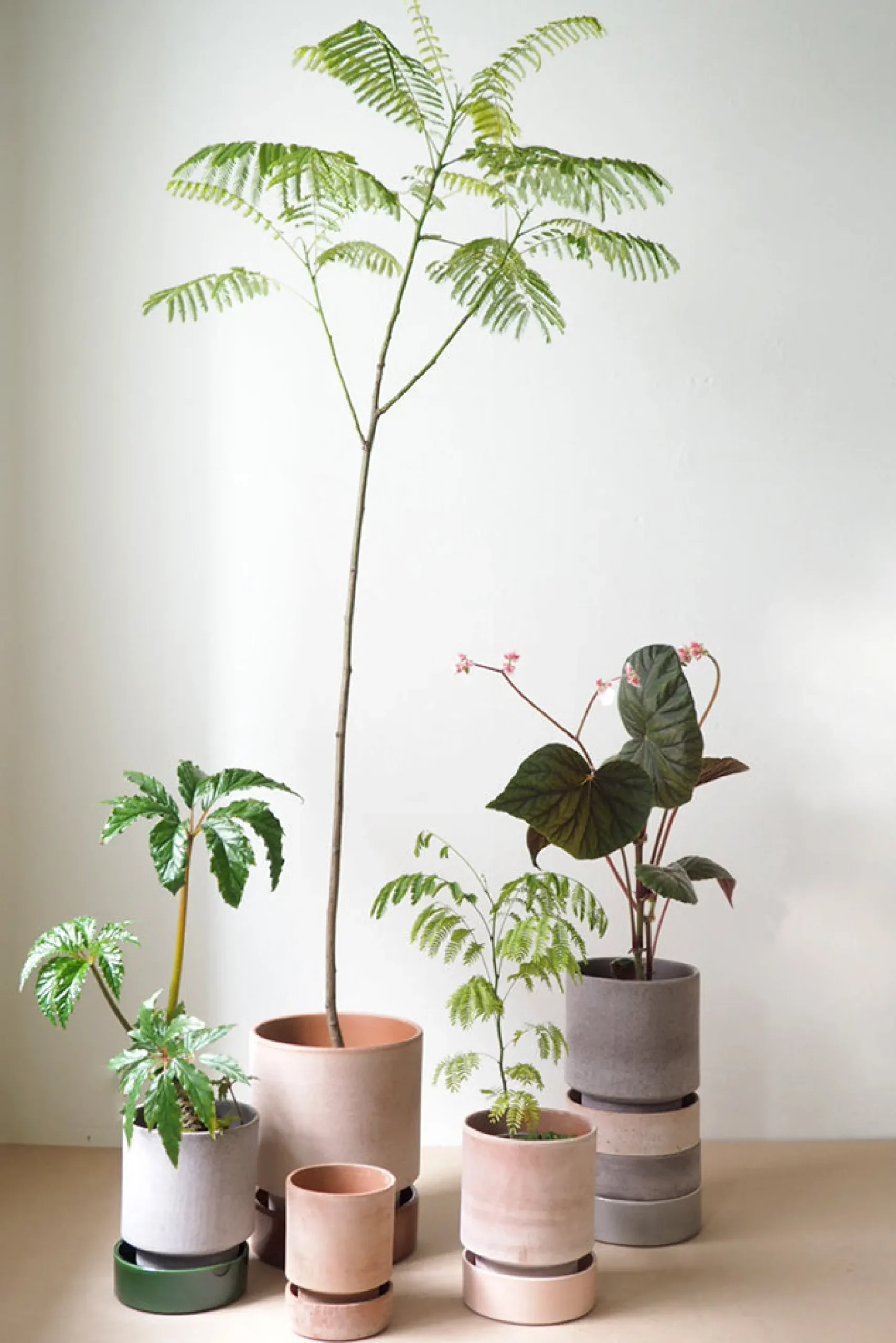 Hoff krukke, raw rosa + rosa underskål, gulvkrukke