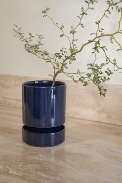 Hoff krukke, Sapphire Blue