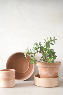 Hoff underskål, raw rosa