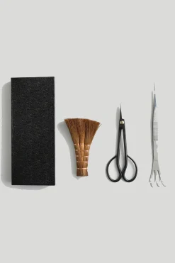 Pro Bonsai starter kit