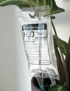 Selvvandende Plant Life support, lille
