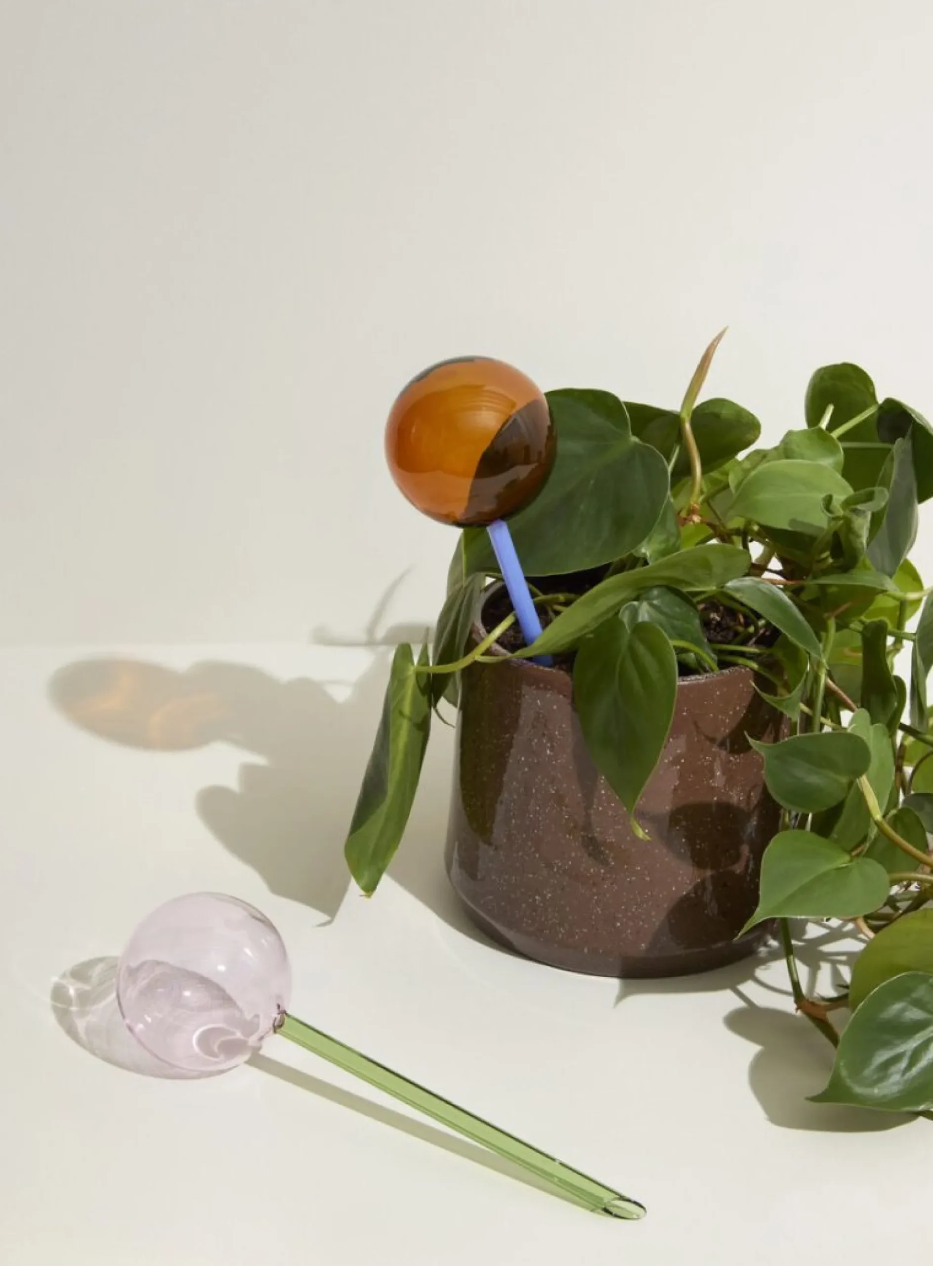 Selvvandingsglas - Amber/Blå