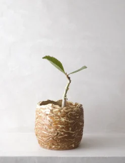 StineMei krukke - yellow