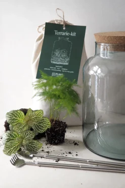 Terrariekit m. glas
