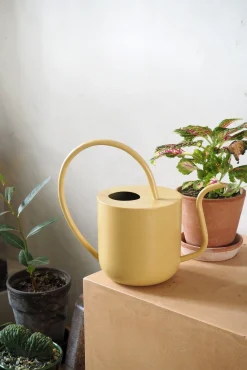 Vandkande, pale yellow